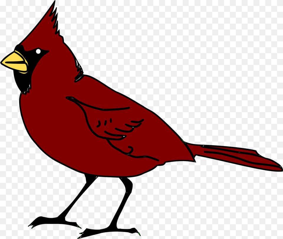 Clipart Cardinal Hd Image Cartoon Red Robin Bird, Animal Png