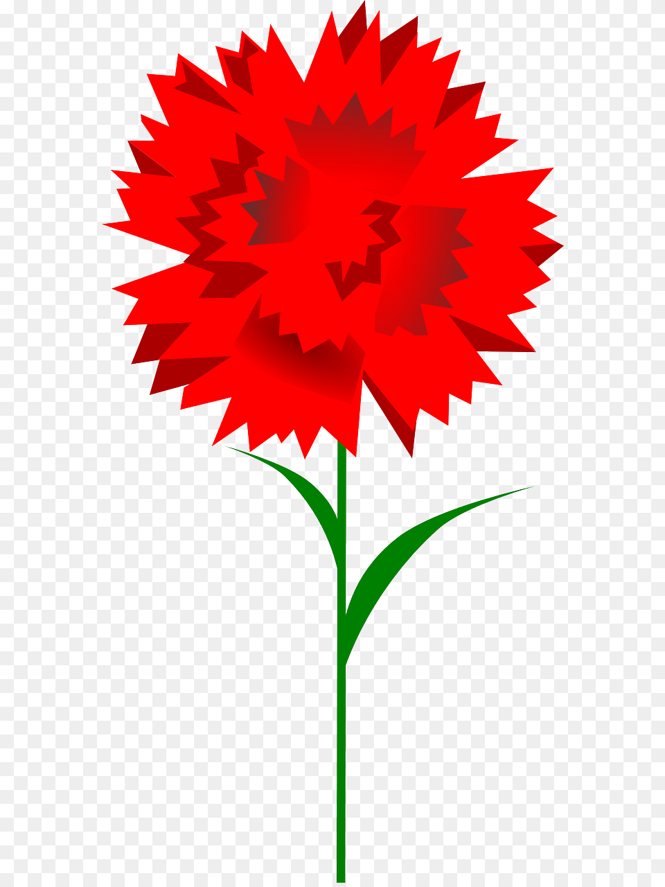 Clipart Carnation, Flower, Leaf, Plant, Dynamite Free Png Download