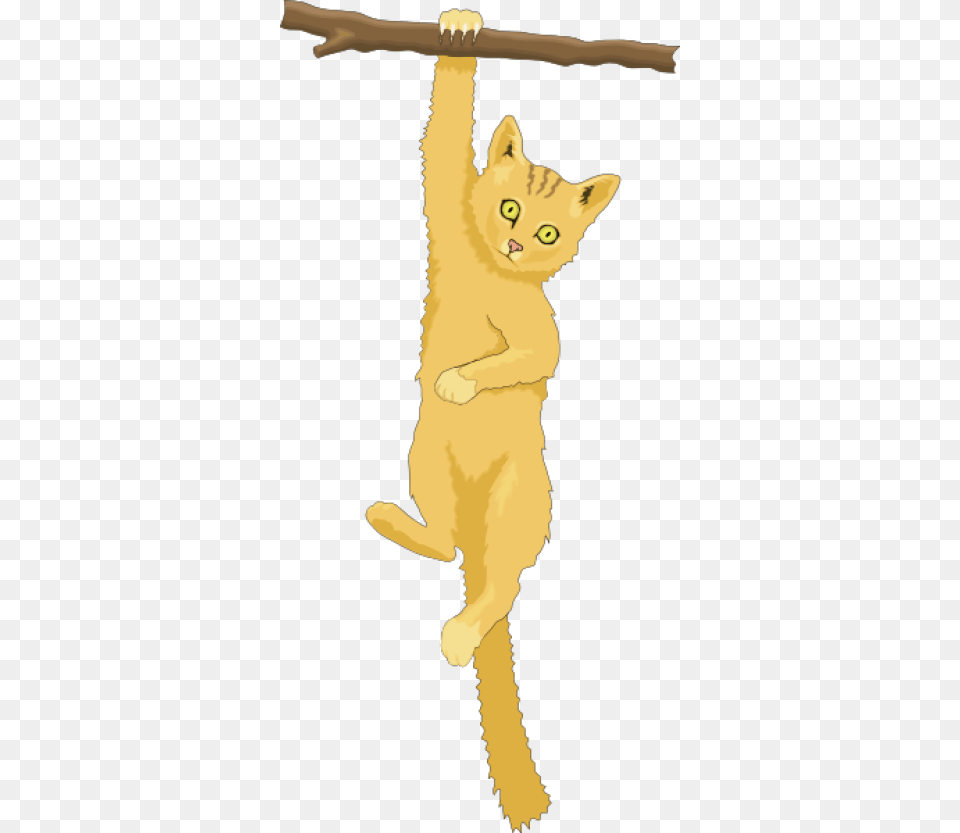 Clipart Cat In A Tree, Animal, Mammal, Pet, Baby Free Transparent Png