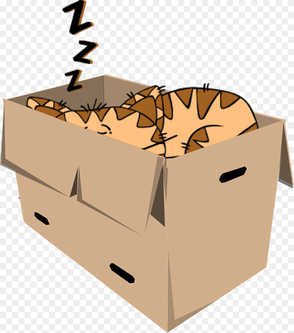 Clipart Cat Sleeping, Box, Cardboard, Carton, Mailbox Png