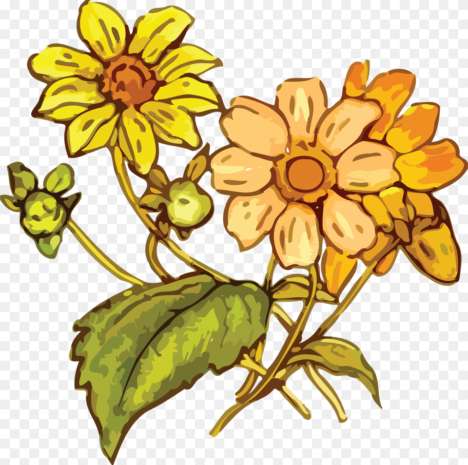 Clipart Cdr, Daisy, Flower, Plant, Art Png Image