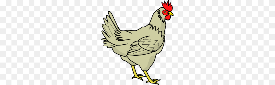 Clipart Chicken, Animal, Bird, Fowl, Hen Free Png