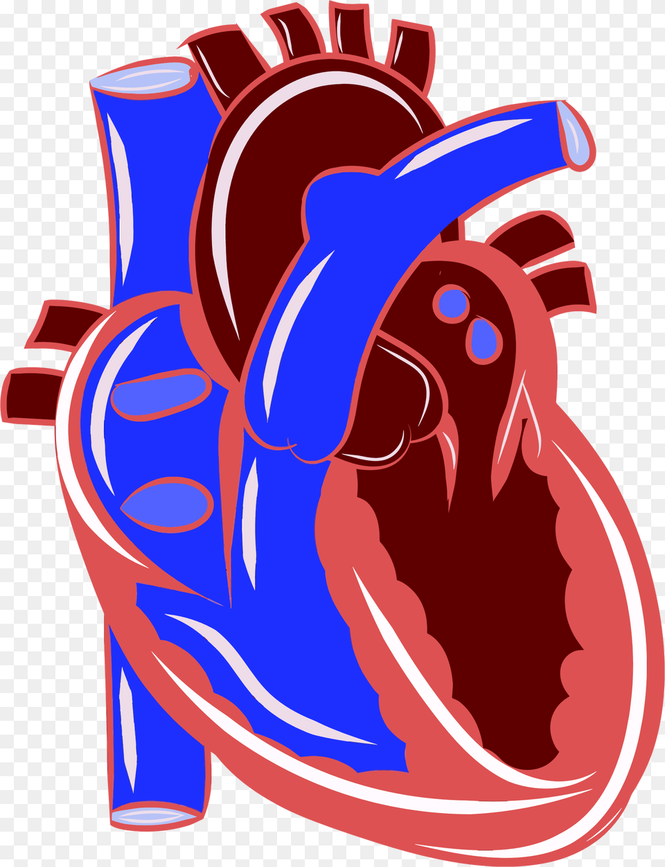 Clipart Circulatory System Heart, Clothing, Footwear, Shoe, Dynamite Png