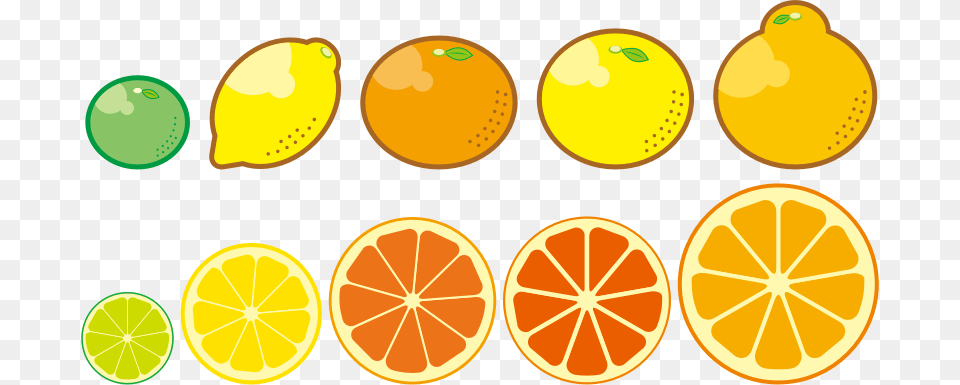 Clipart Citrus Fruits Download Citrus Trees Clip Art, Citrus Fruit, Food, Fruit, Produce Free Png