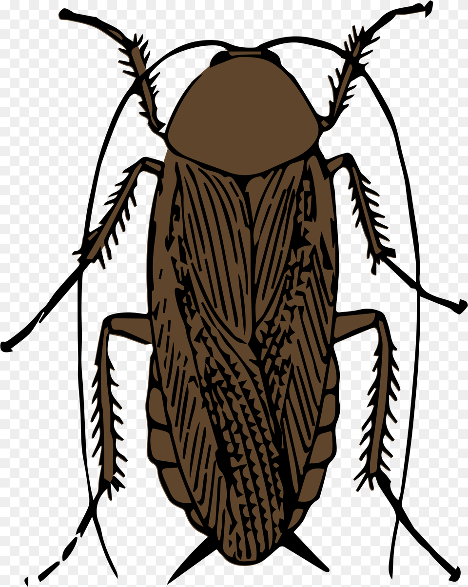 Clipart Cockroach Black And White Download Full Cockroach Smoking A Roach, Animal, Person, Insect, Invertebrate Free Png