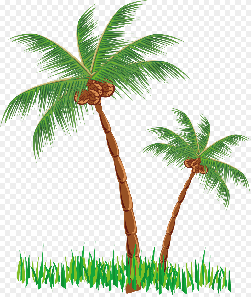 Clipart Coconut Tree Vector Clip Art Coconut Tree, Palm Tree, Plant, Vegetation Free Png Download