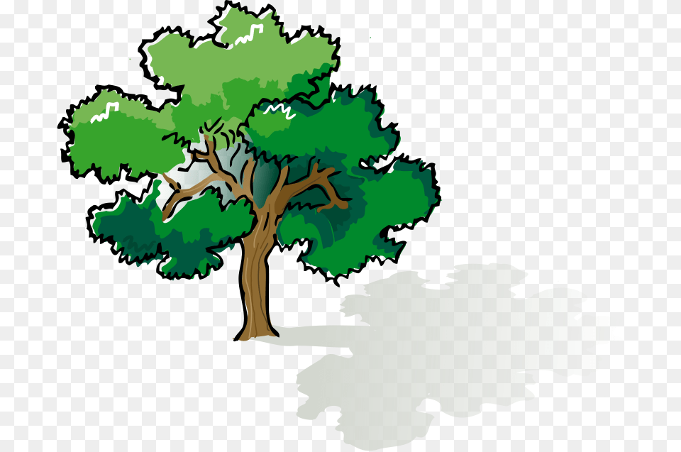 Clipart Colored Oak Tree, Sycamore, Plant, Vegetation, Green Free Transparent Png