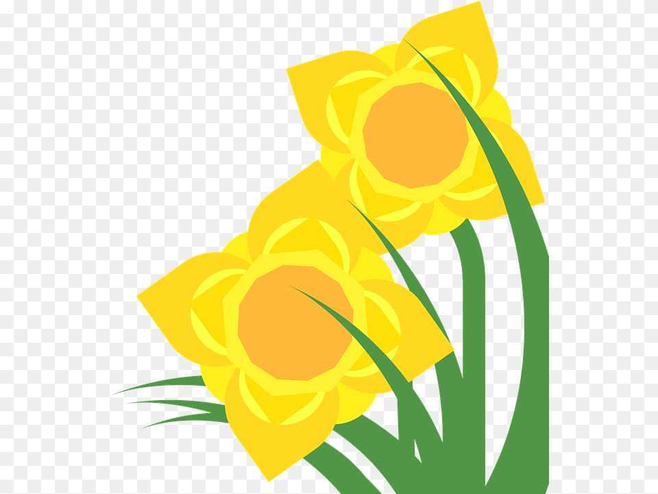 Clipart Daffodil Narcissus Spring Flower Plant Daffodil Clipart, Person Free Png Download