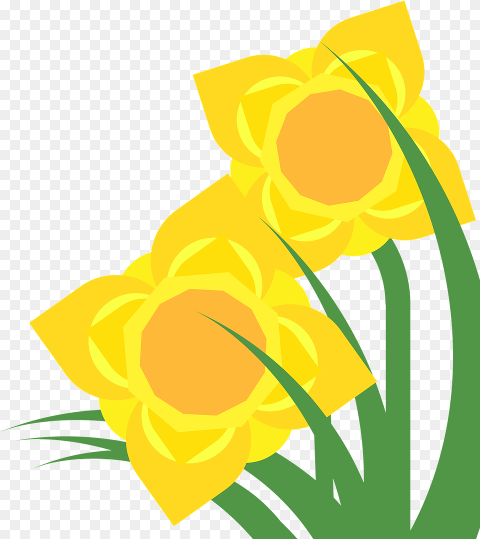 Clipart Daffodil Narcissus Spring Flower Plant Flower Flower Spring Clipart Green Yellow, Person Free Png Download