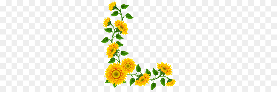 Clipart De Girassol Para Montagens Digitais Sunflower Artill, Flower, Plant Free Png
