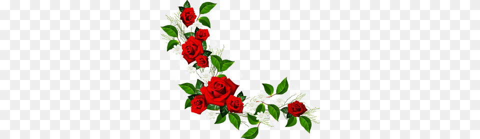 Clipart De Rosas Para Montagens Digitais Frames Cards, Flower, Flower Arrangement, Flower Bouquet, Plant Png