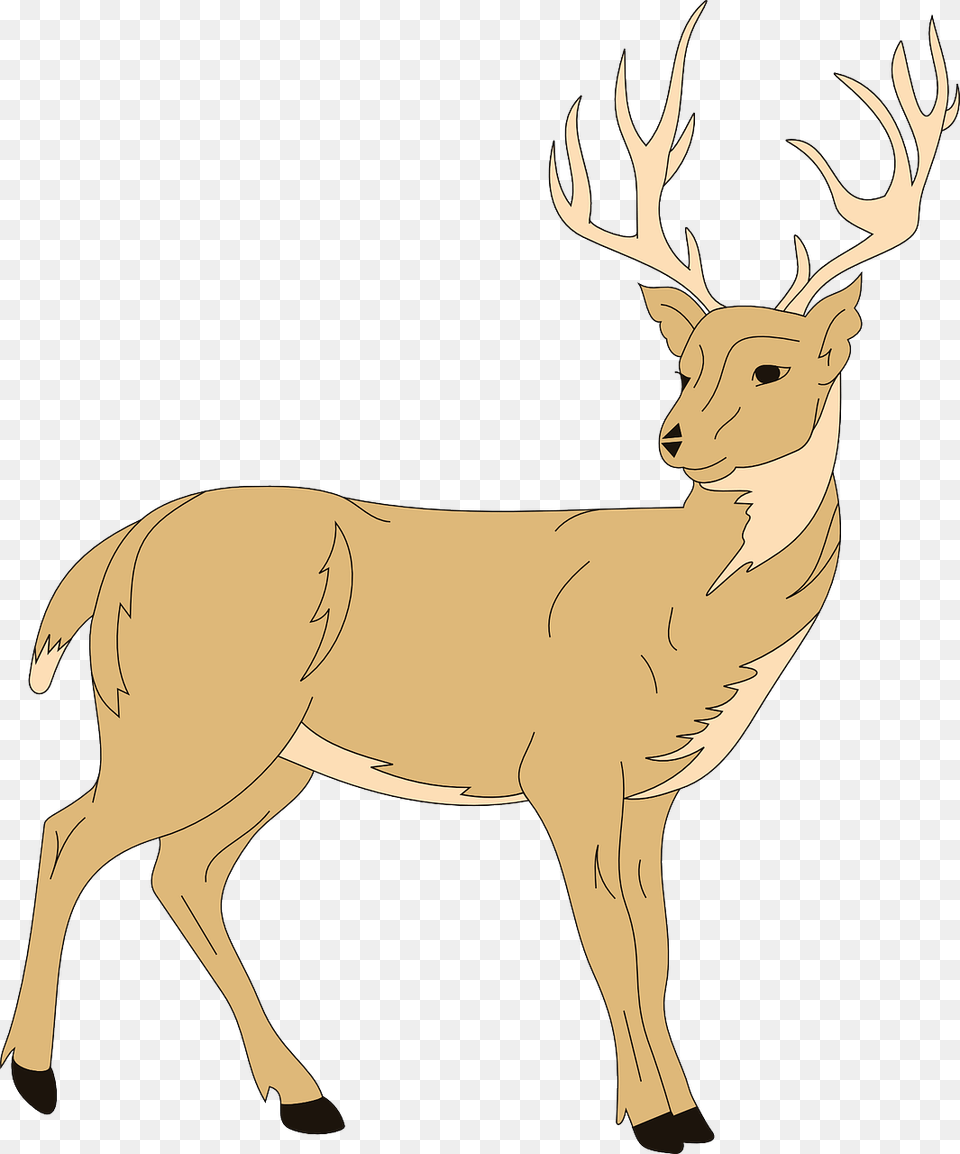 Clipart Deer, Animal, Mammal, Wildlife, Elk Png