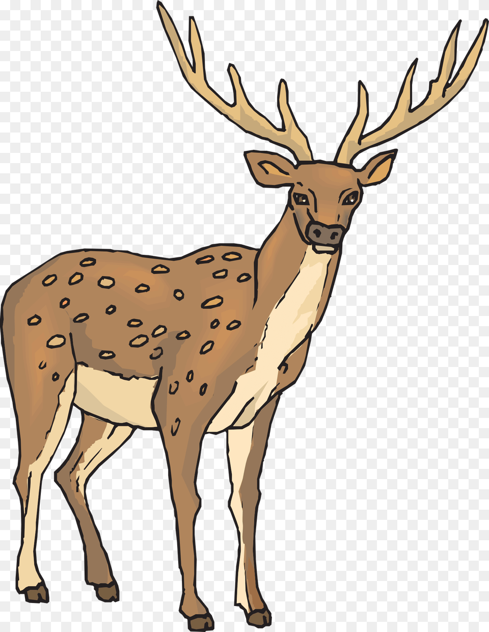 Clipart Deer, Animal, Mammal, Wildlife, Elk Free Transparent Png