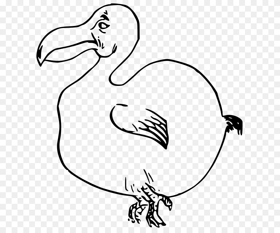 Clipart Dodo Bird Ossidiana, Gray Free Png Download