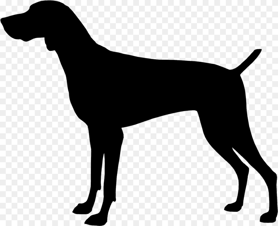 Clipart Dogs Gsp Horse Side View Silhouette, Gray Free Png