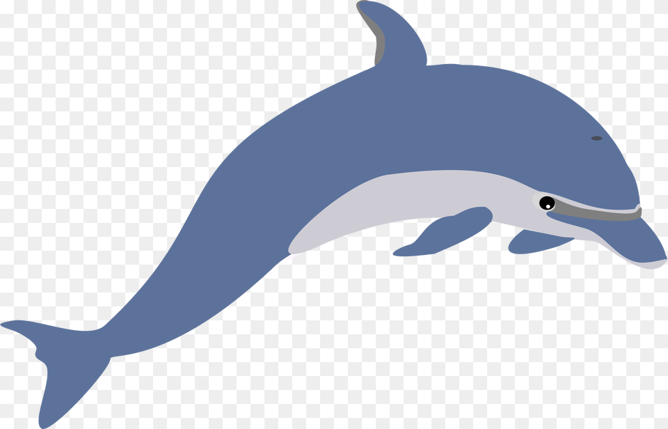 Clipart Dolphin Transparent Background Transparent Dolphin Clipart, Animal, Mammal, Sea Life, Fish Png