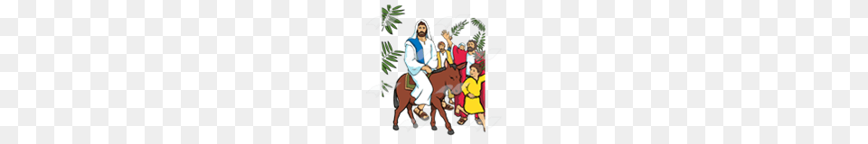 Clipart Donkey Jesus, People, Person, Adult, Female Free Transparent Png