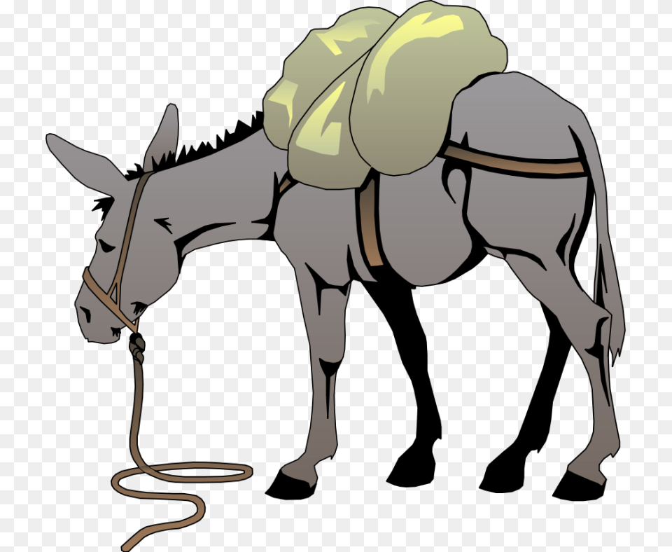 Clipart Donkey Look, Animal, Mammal, Person, Head Free Png Download