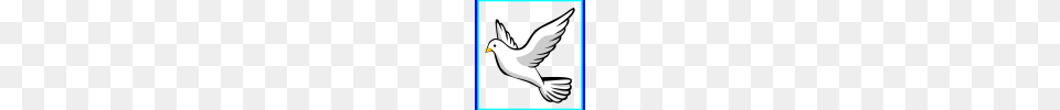 Clipart Dove Clipart School Clipart Dove Clipart Cross And Dove, Animal, Bird, Pigeon, Fish Free Transparent Png