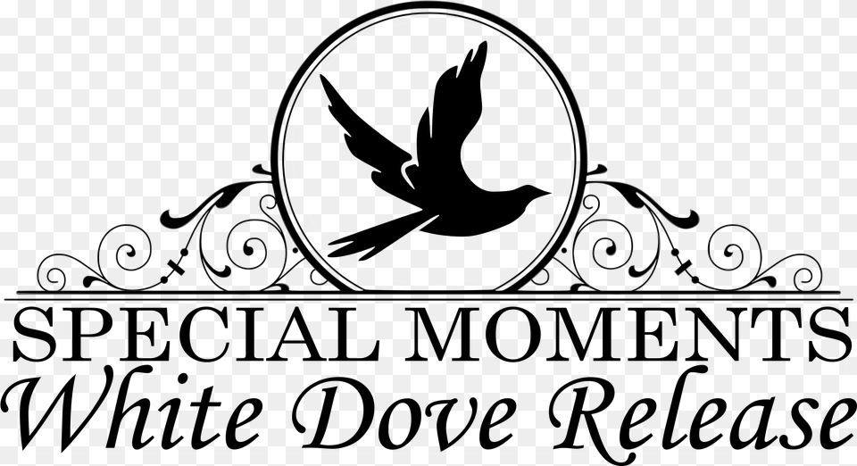 Clipart Doves For Funeral, Blackboard Free Transparent Png