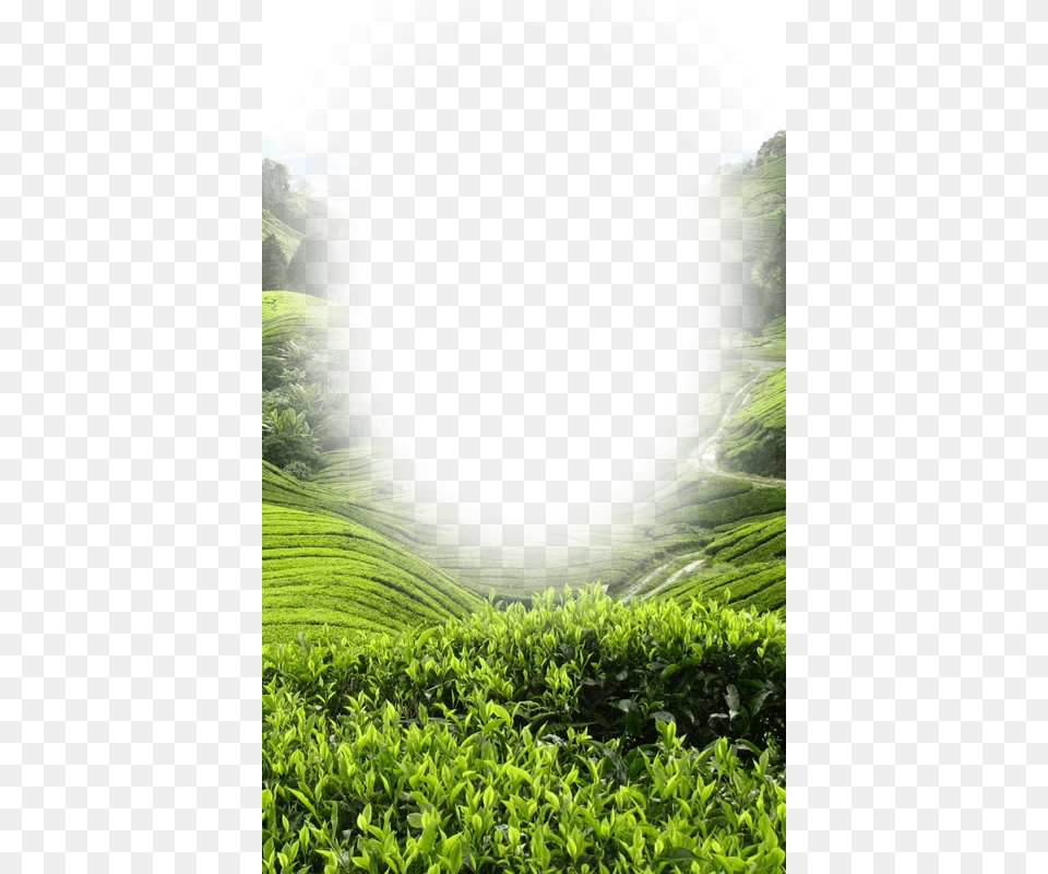 Clipart Download Beauty Photo Frame App Ranking And Nature Photo Frames, Agriculture, Countryside, Outdoors, Field Png