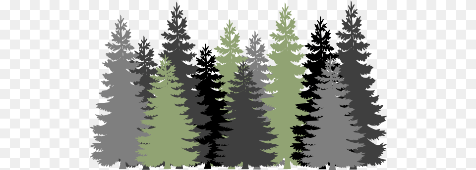 Clipart Download Clip Art Pine Trees Silhouette, Conifer, Fir, Tree, Plant Free Transparent Png