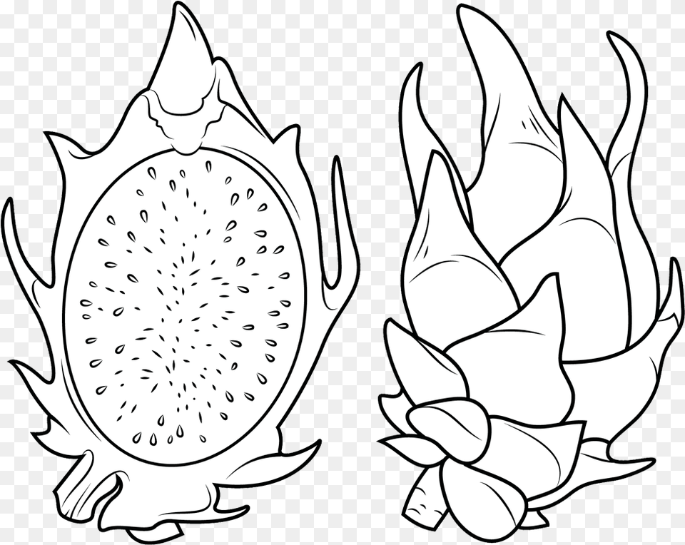 Clipart Dragon Fruit Coloring Pages Dragon Fruit Drawing, Food, Produce Png Image