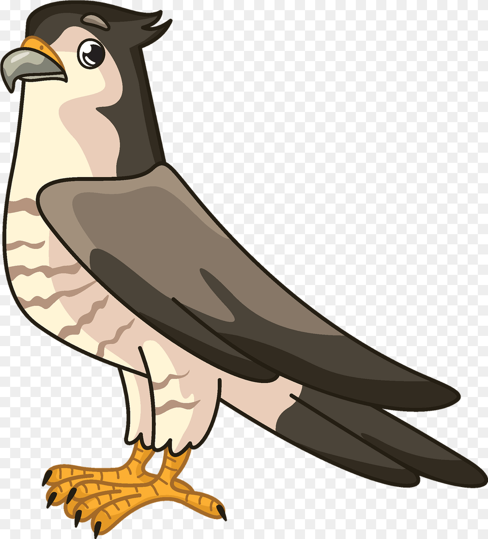 Clipart Falcon Clipart, Animal, Beak, Bird, Kite Bird Free Png Download