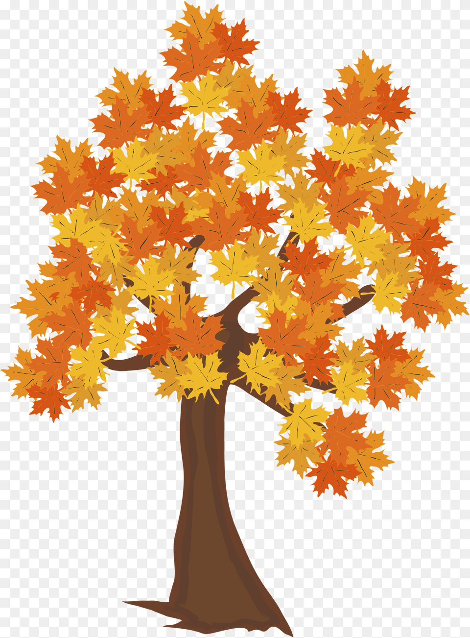 Clipart Fall Tree Autumn Tree Drawing, Leaf, Maple, Plant Free Transparent Png