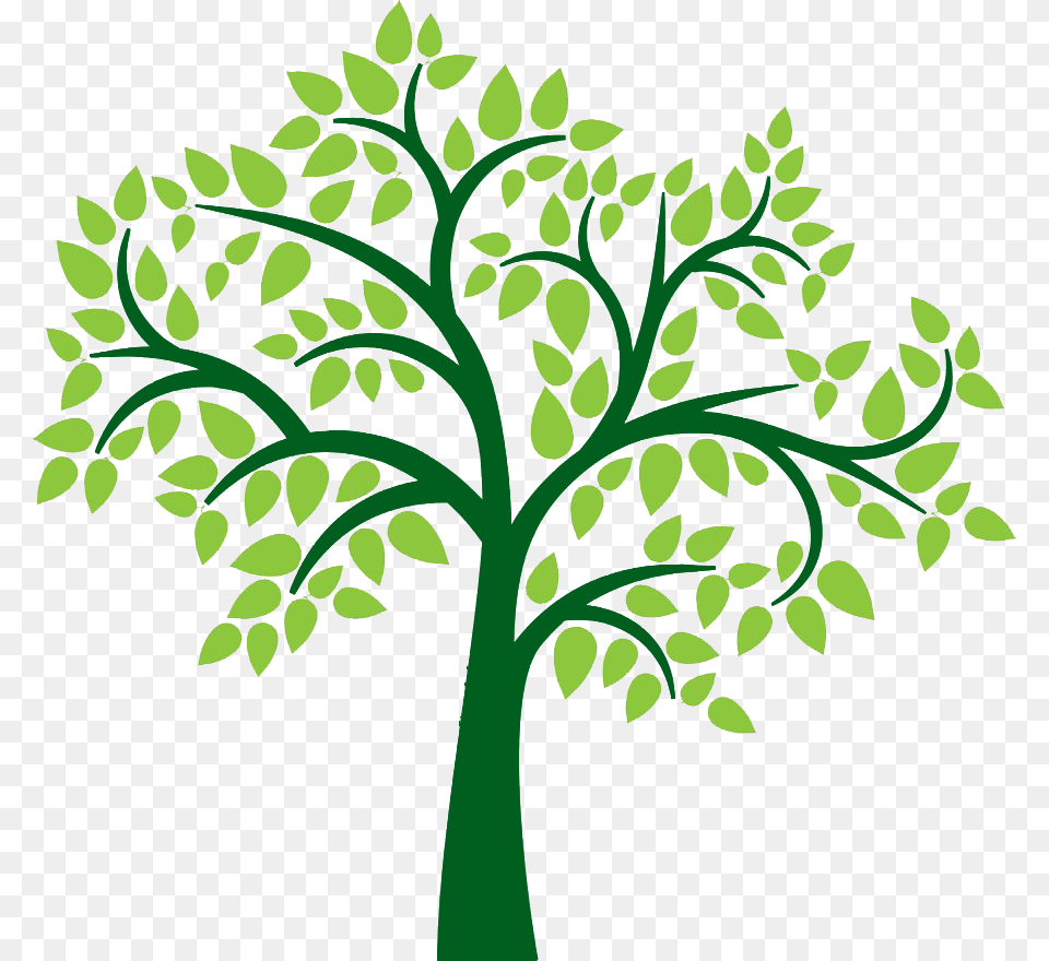 Clipart Family Tree Background, Green, Leaf, Oak, Sycamore Free Transparent Png