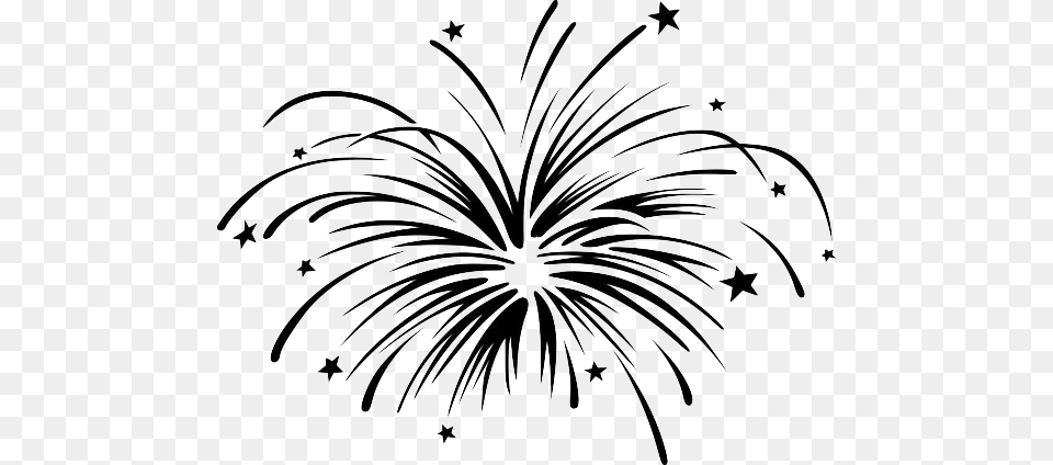 Clipart Fireworks Clipart Black And White 19 Firework Fireworks Clip Art Black And White, Plant Free Transparent Png