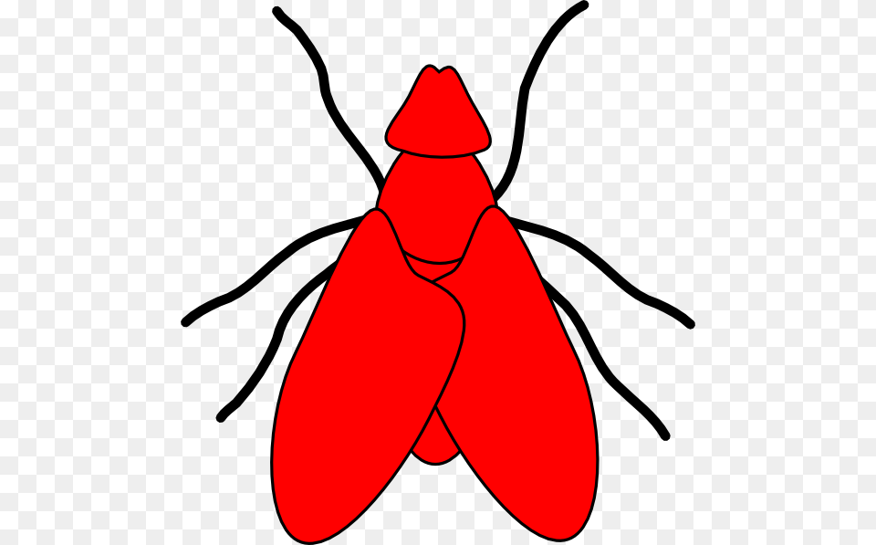 Clipart Flies, Animal, Cockroach, Insect, Invertebrate Free Png Download