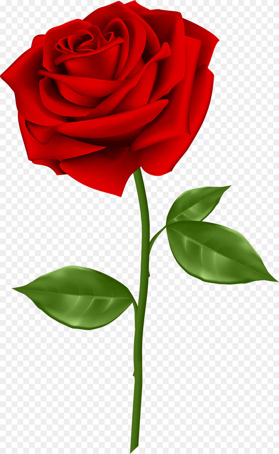 Clipart Flower Beautiful Red Rose Transparent, Plant Free Png Download