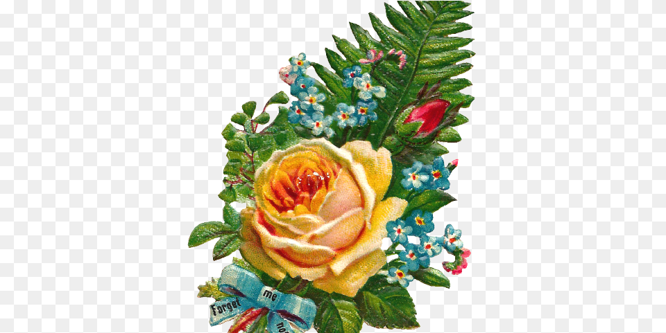 Clipart Flower Bokeh Flower Bokeh In, Rose, Plant, Pattern, Flower Arrangement Png Image