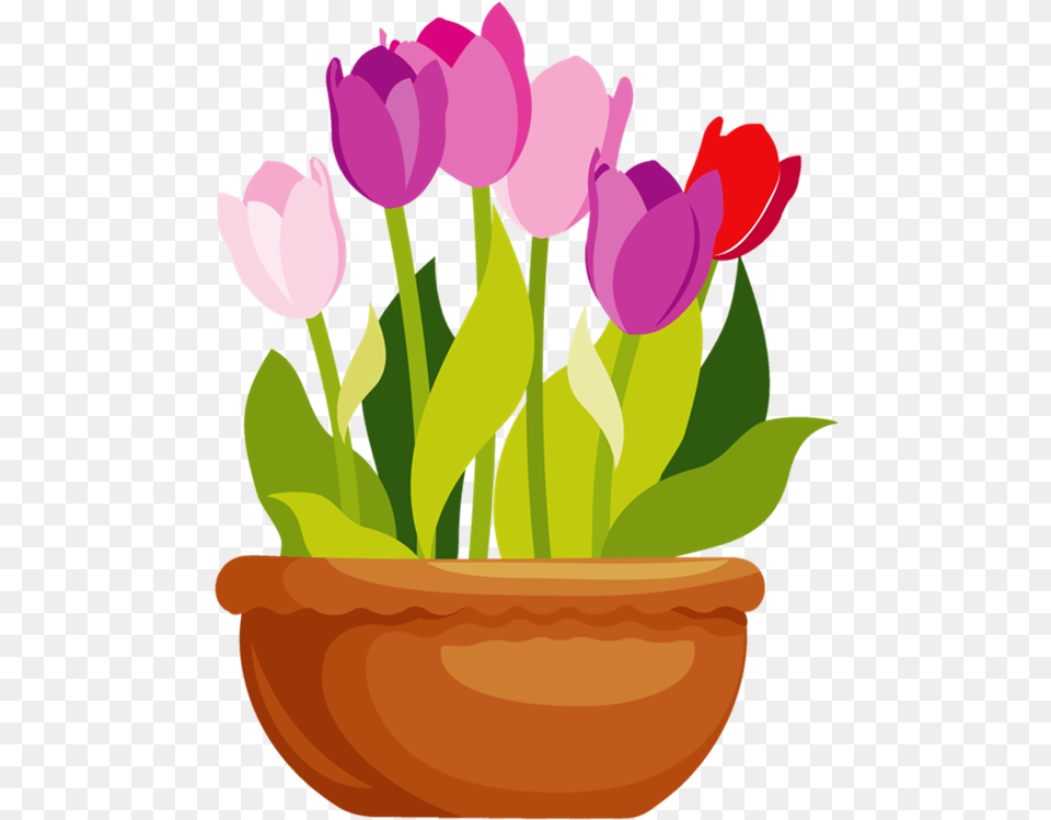 Clipart Flower Pot Clip Library Picture Flower Pot Clipart, Potted Plant, Plant, Petal, Flower Arrangement Png Image