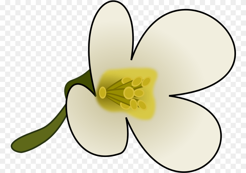 Clipart Flower With Pollen Flower Pollen Clipart, Petal, Anther, Plant, Anemone Free Png Download