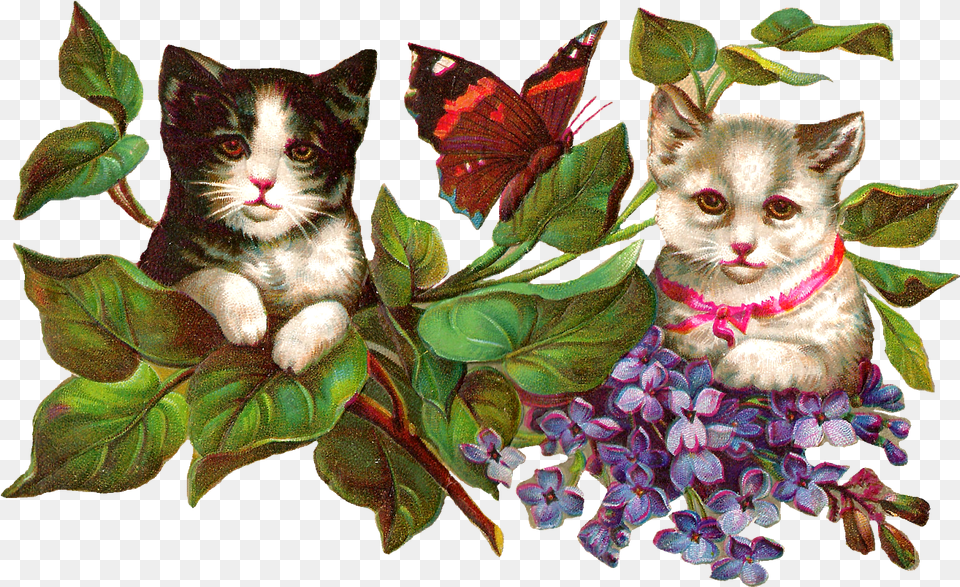 Clipart Flowers Cat Transparent Domestic Cat, Plant, Leaf, Art, Collage Free Png Download