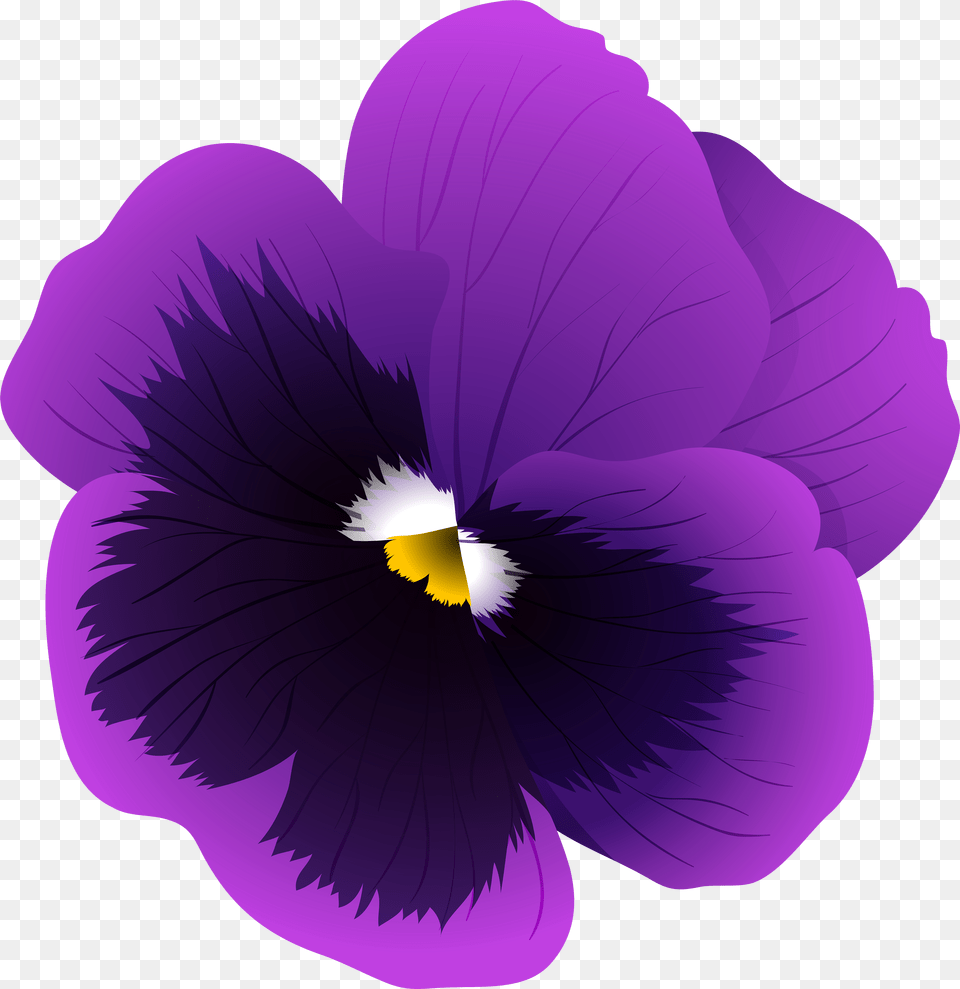 Clipart Flowers Violet Pansy, Flower, Plant, Purple, Geranium Png Image