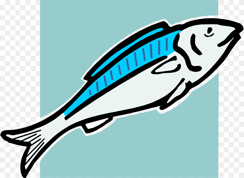 Clipart Food Fish, Animal, Bow, Herring, Sea Life Free Png Download