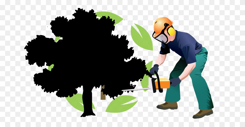 Clipart For Tree Trimming Clip Art Images, Adult, Male, Man, Person Png Image