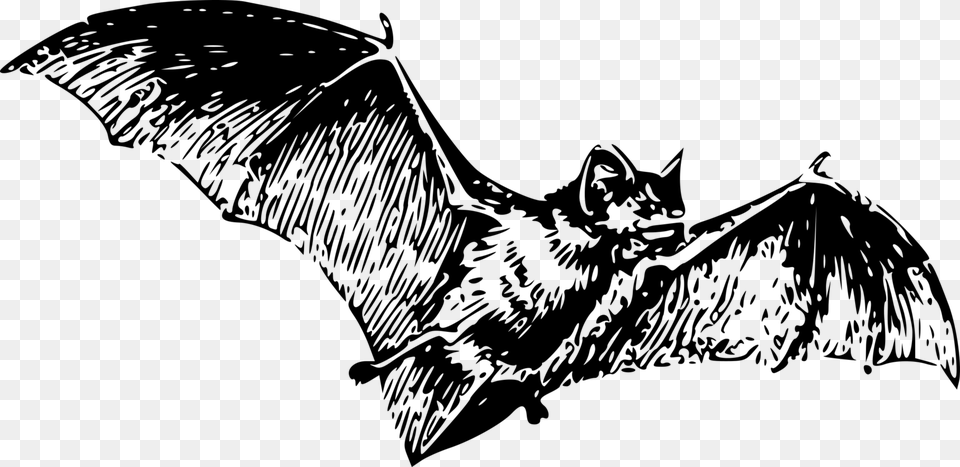 Clipart Free Bat, Gray Png