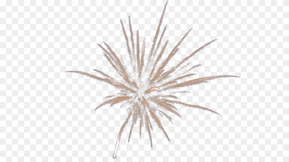 Clipart Free Stock Download Computer File Fireworks Frost, Plant Png