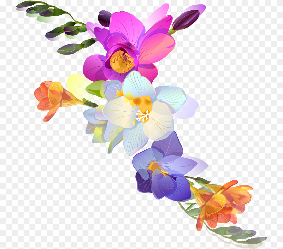 Clipart Freesia, Art, Pattern, Graphics, Flower Arrangement Png Image