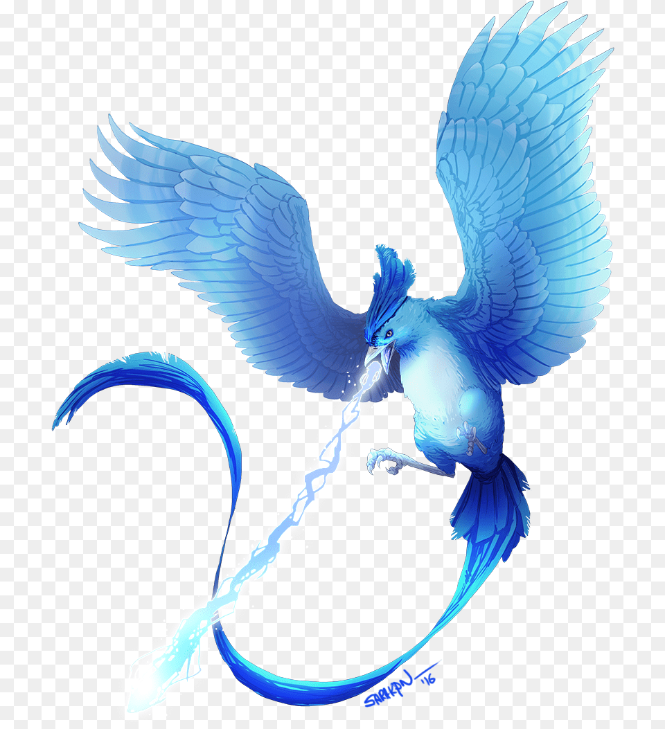 Clipart Freeuse Library Articuno Drawing Flying Articuno, Animal, Bird, Jay Free Png