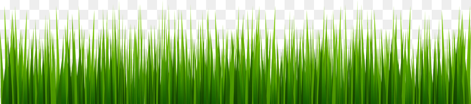 Clipart Freeuse Stock Clip Art Best Web Grass Clipart Border, Green, Plant, Texture, Leaf Free Transparent Png