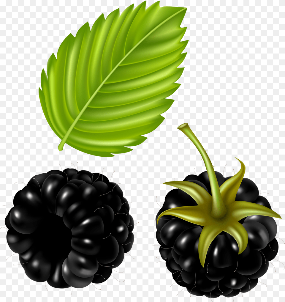 Clipart Fruit Clip Art And Art, Berry, Food, Plant, Produce Free Png Download