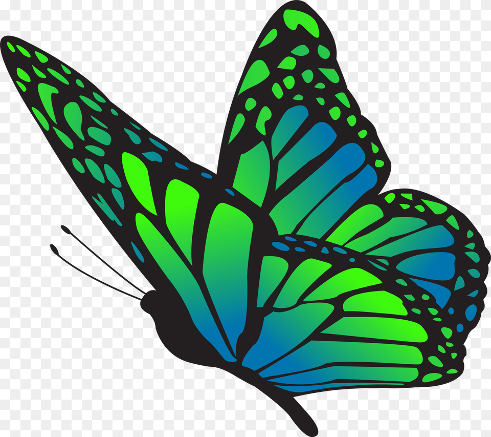 Clipart Gallery Butterfly Blue, Animal, Insect, Invertebrate, Fish Png Image