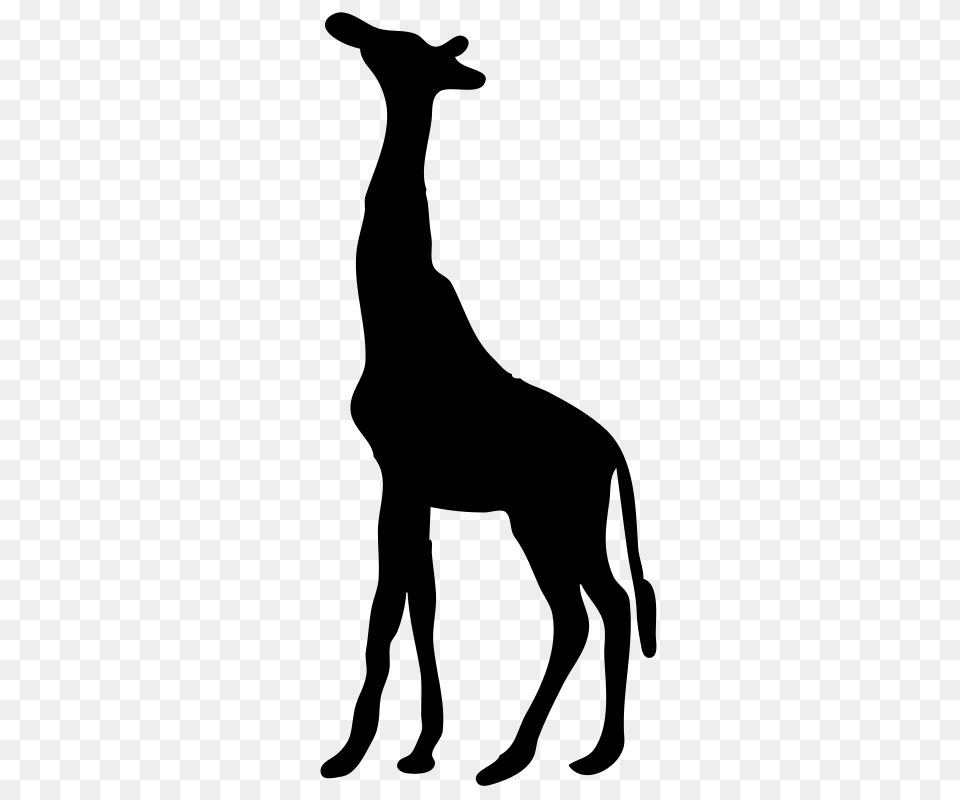 Clipart Giraffe Contour Nicubunu, Gray Png Image