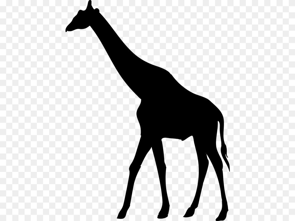 Clipart Giraffe Silhouette Clip Art Giraffe Silhouette Giraffe, Gray Free Png
