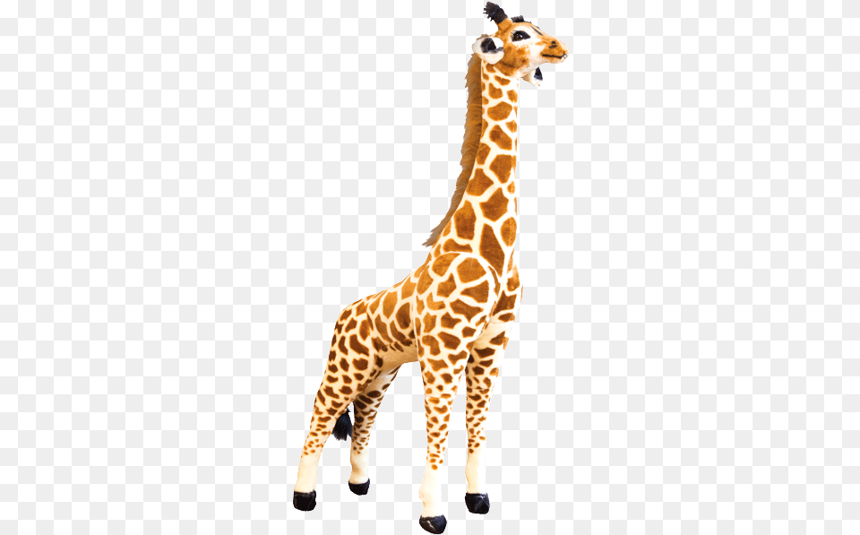 Clipart Giraffe Transparent Background Giraffe Toy Clear Background, Animal, Mammal, Wildlife Png